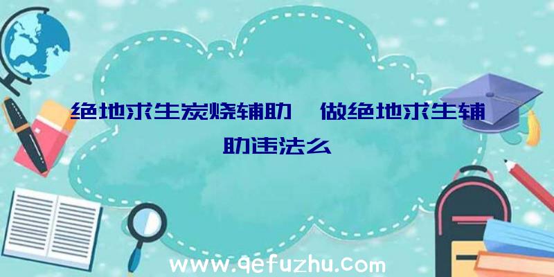 绝地求生炭烧辅助、做绝地求生辅助违法么