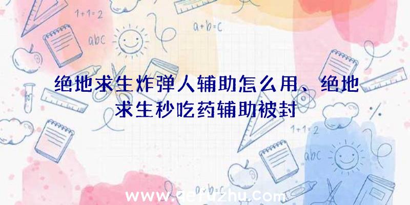 绝地求生炸弹人辅助怎么用、绝地求生秒吃药辅助被封