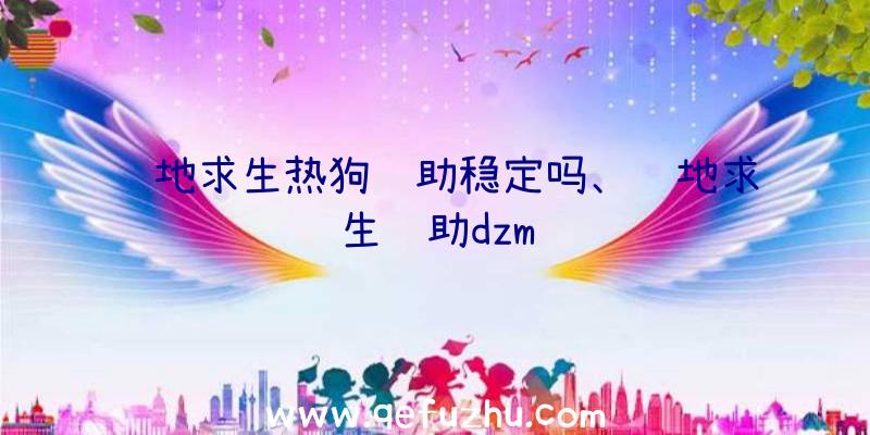 绝地求生热狗辅助稳定吗、绝地求生辅助dzm