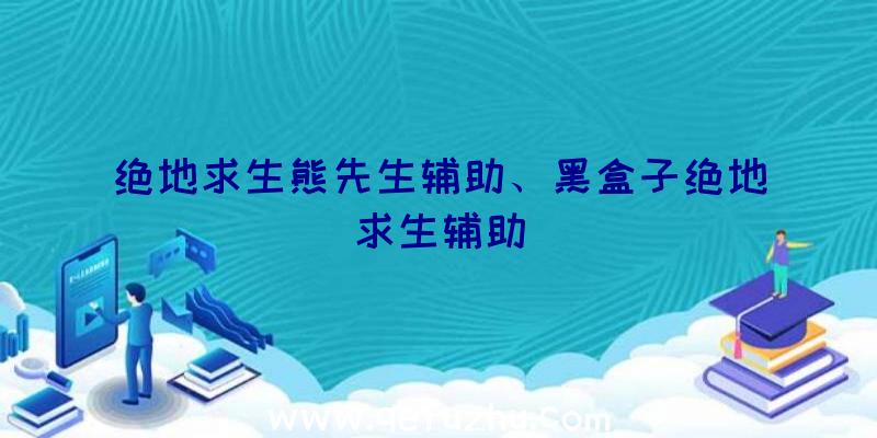 绝地求生熊先生辅助、黑盒子绝地求生辅助