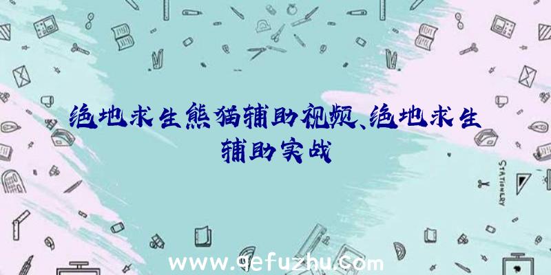 绝地求生熊猫辅助视频、绝地求生辅助实战