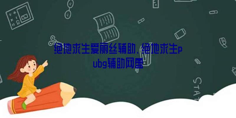 绝地求生爱丽丝辅助、绝地求生pubg辅助网盘