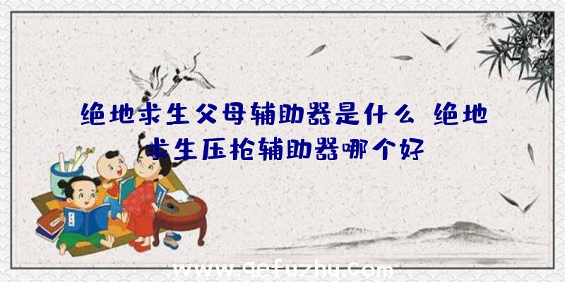 绝地求生父母辅助器是什么、绝地求生压枪辅助器哪个好