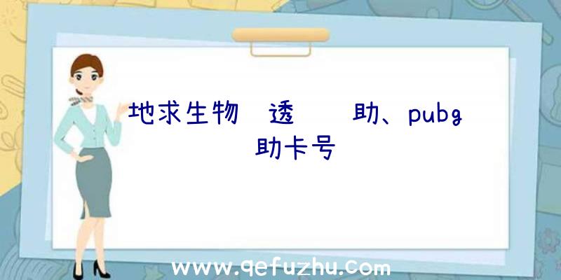 绝地求生物资透视辅助、pubg辅助卡号