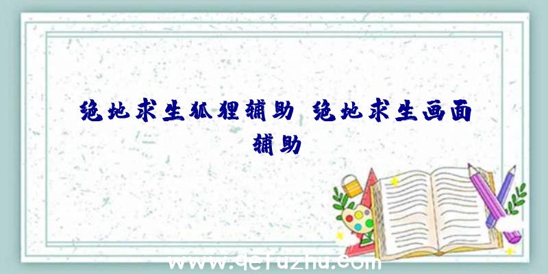 绝地求生狐狸辅助、绝地求生画面辅助