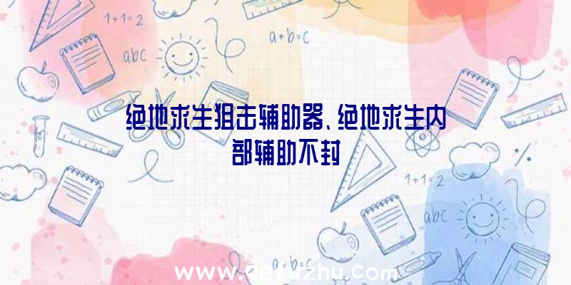 绝地求生狙击辅助器、绝地求生内部辅助不封