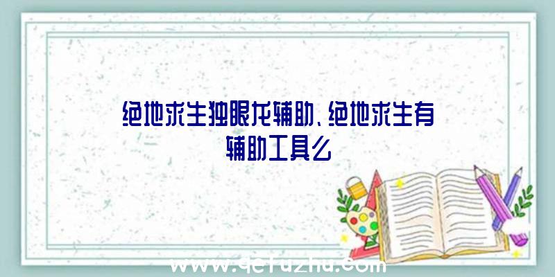 绝地求生独眼龙辅助、绝地求生有辅助工具么