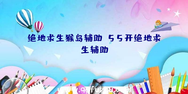 绝地求生猴岛辅助、55开绝地求生辅助