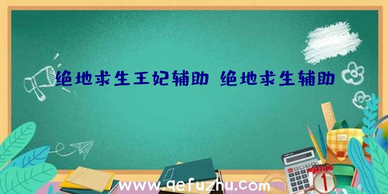 绝地求生王妃辅助、绝地求生辅助dzm