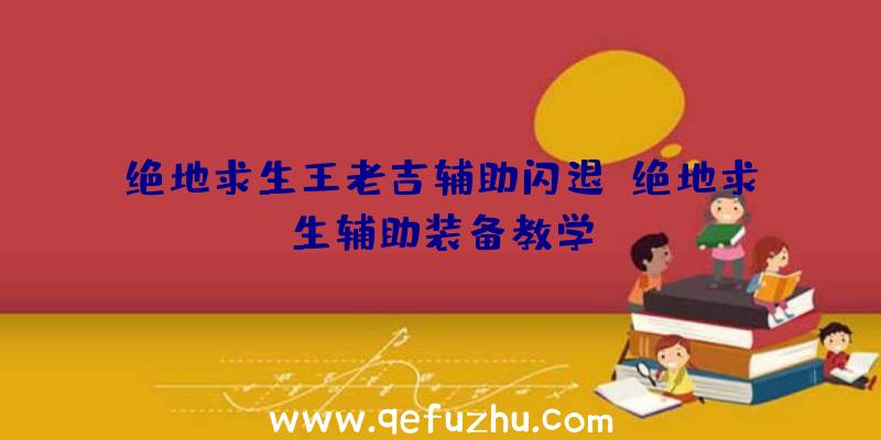 绝地求生王老吉辅助闪退、绝地求生辅助装备教学