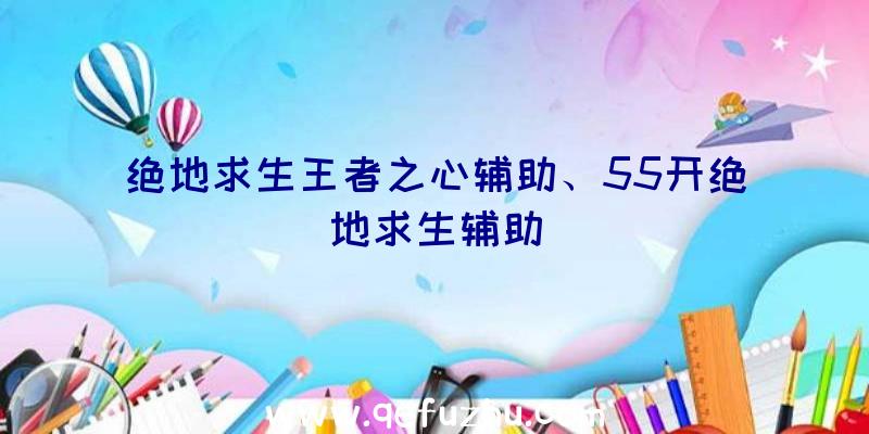 绝地求生王者之心辅助、55开绝地求生辅助