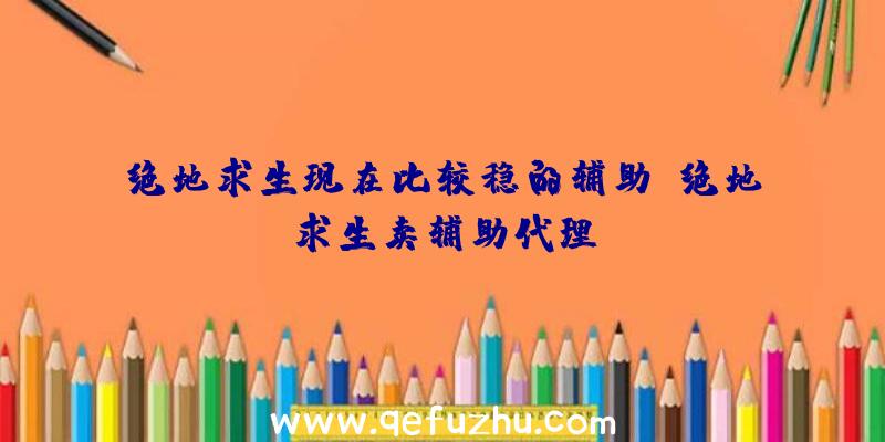 绝地求生现在比较稳的辅助、绝地求生卖辅助代理