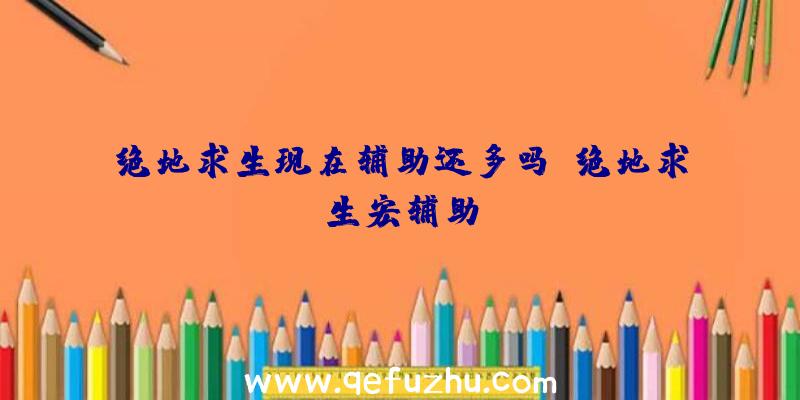 绝地求生现在辅助还多吗、绝地求生宏辅助