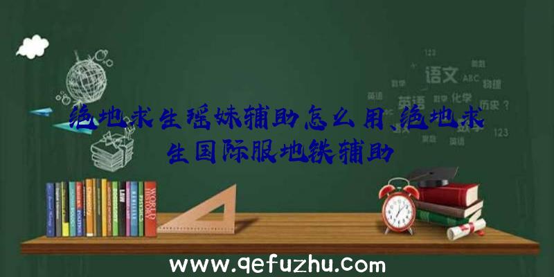 绝地求生瑶妹辅助怎么用、绝地求生国际服地铁辅助