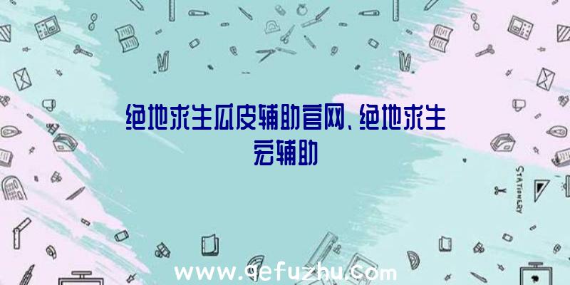 绝地求生瓜皮辅助官网、绝地求生宏辅助