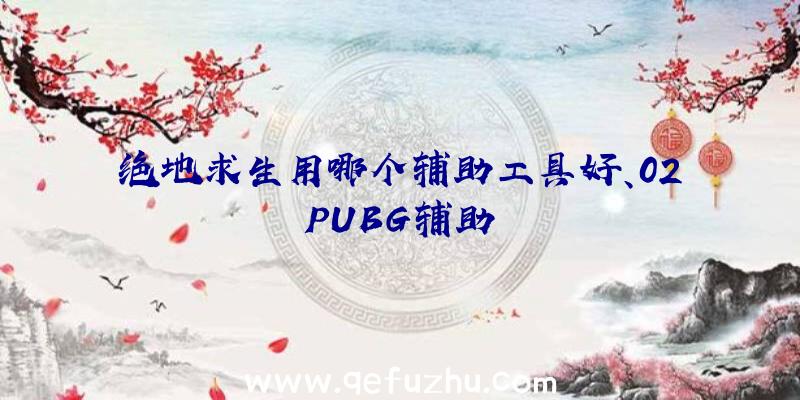 绝地求生用哪个辅助工具好、02PUBG辅助