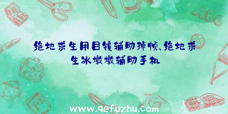 绝地求生用目镜辅助掉帧、绝地求生冰墩墩辅助手机