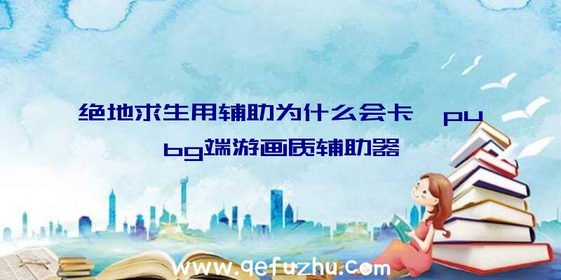 绝地求生用辅助为什么会卡、pubg端游画质辅助器