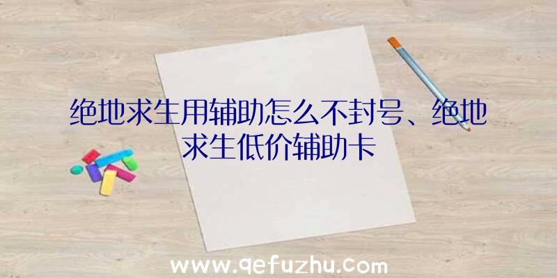 绝地求生用辅助怎么不封号、绝地求生低价辅助卡