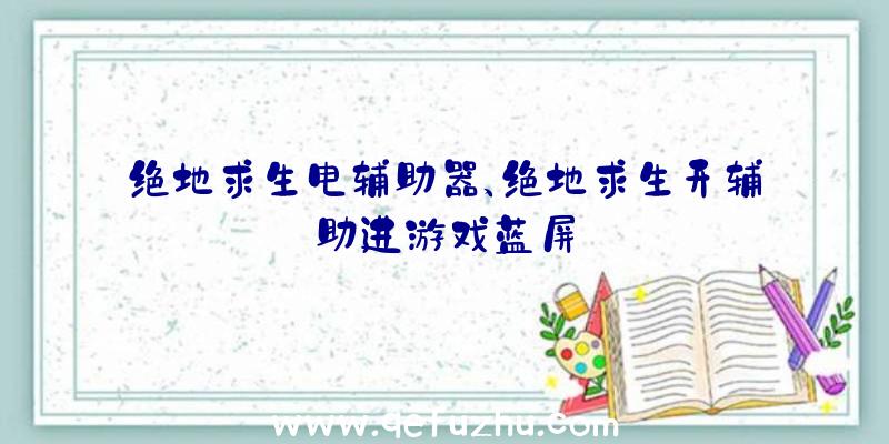 绝地求生电辅助器、绝地求生开辅助进游戏蓝屏