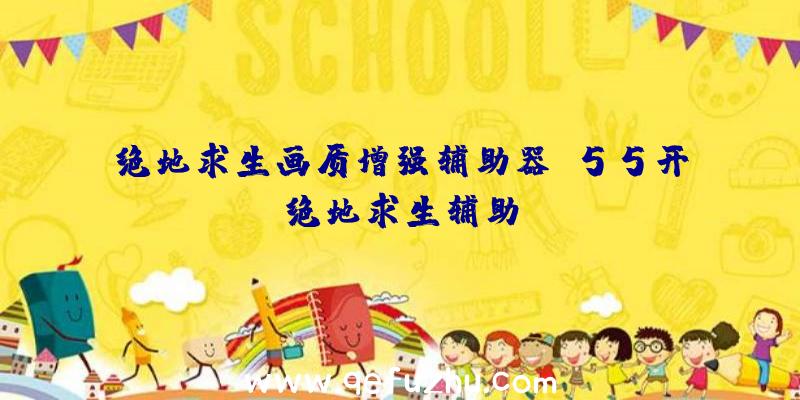 绝地求生画质增强辅助器、55开绝地求生辅助