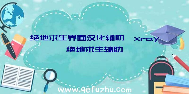 绝地求生界面汉化辅助、xray绝地求生辅助