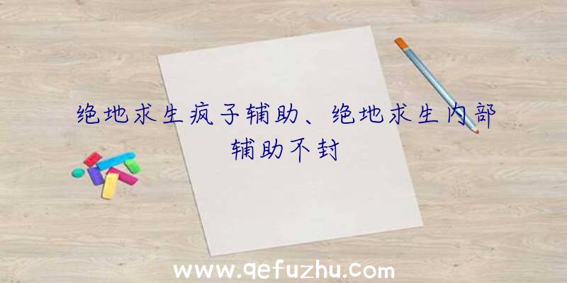 绝地求生疯子辅助、绝地求生内部辅助不封