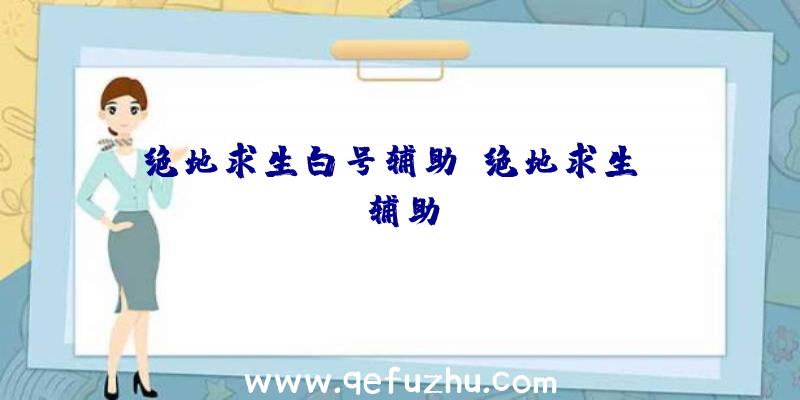 绝地求生白号辅助、绝地求生TV辅助