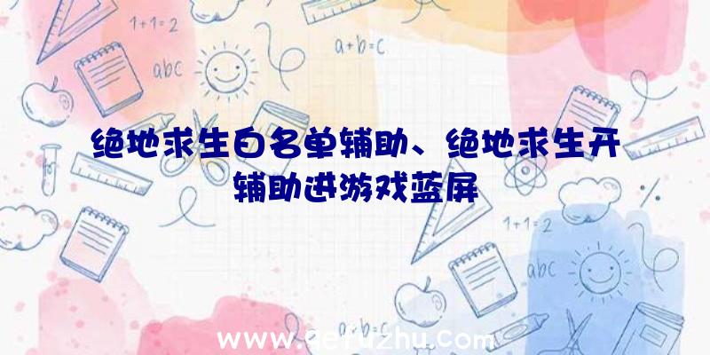 绝地求生白名单辅助、绝地求生开辅助进游戏蓝屏