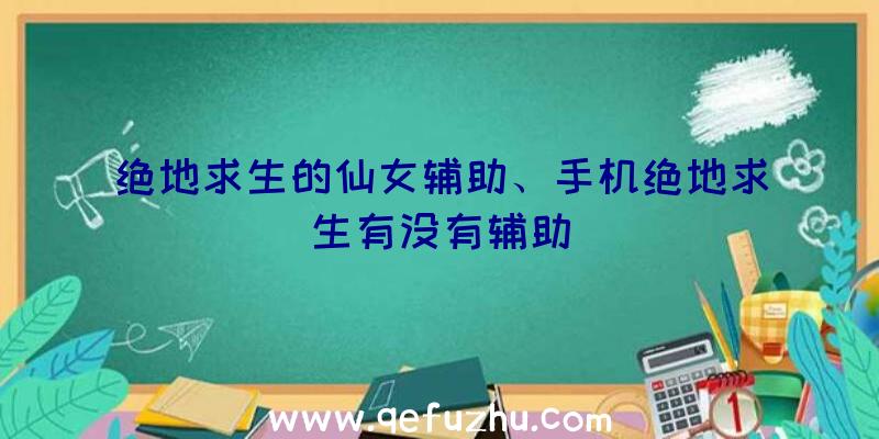 绝地求生的仙女辅助、手机绝地求生有没有辅助