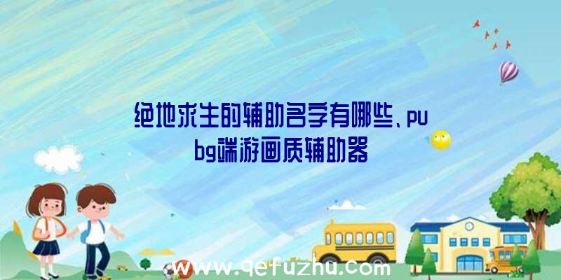 绝地求生的辅助名字有哪些、pubg端游画质辅助器