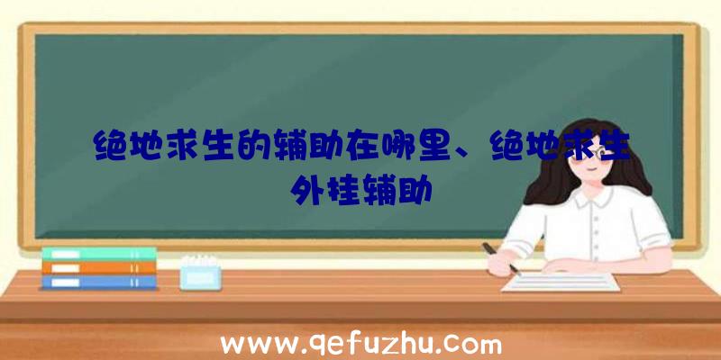 绝地求生的辅助在哪里、绝地求生外挂辅助