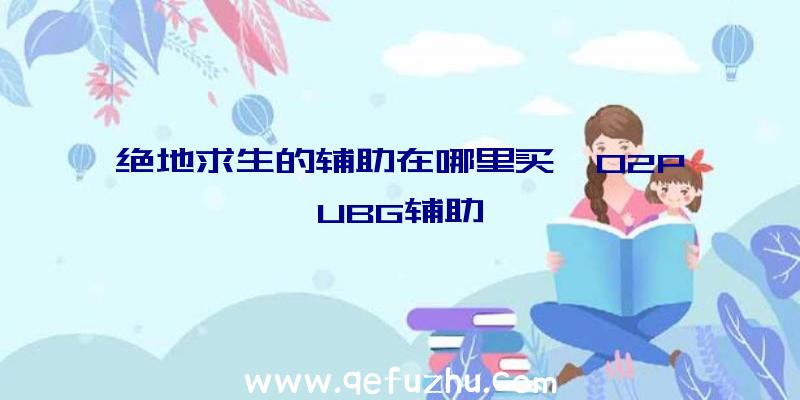 绝地求生的辅助在哪里买、02PUBG辅助