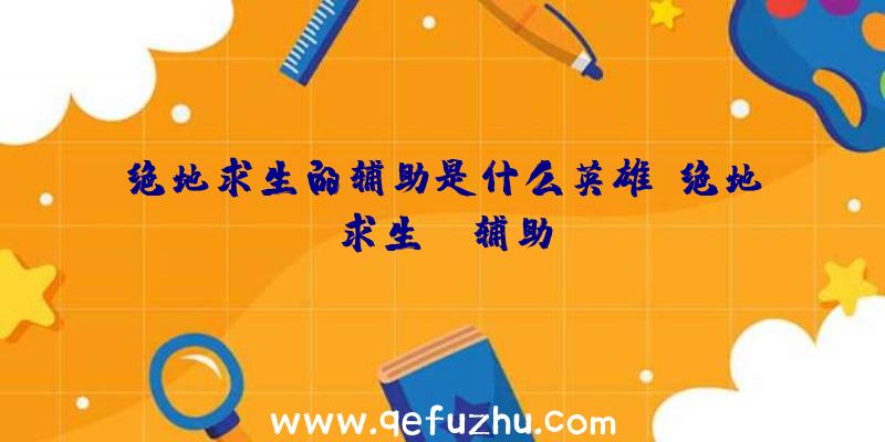 绝地求生的辅助是什么英雄、绝地求生da辅助