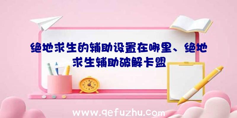 绝地求生的辅助设置在哪里、绝地求生辅助破解卡盟