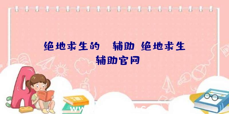 绝地求生的MG辅助、绝地求生be辅助官网