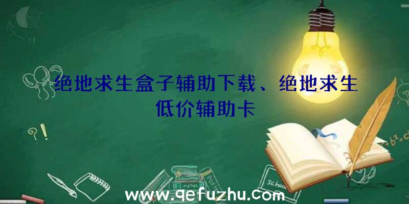 绝地求生盒子辅助下载、绝地求生低价辅助卡