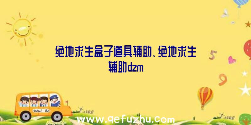 绝地求生盒子道具辅助、绝地求生辅助dzm