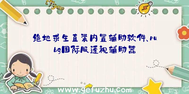 绝地求生直装内置辅助软件、pubg国际服透视辅助器