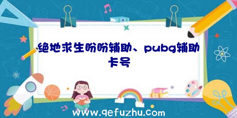 绝地求生盼盼辅助、pubg辅助卡号