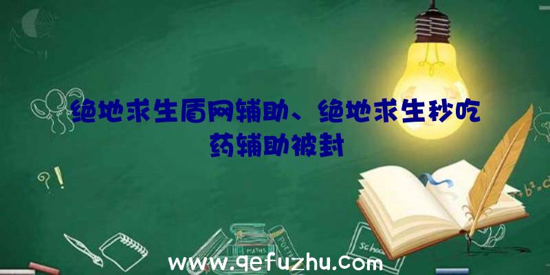 绝地求生盾网辅助、绝地求生秒吃药辅助被封