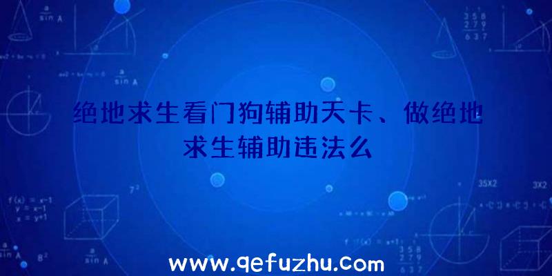 绝地求生看门狗辅助天卡、做绝地求生辅助违法么