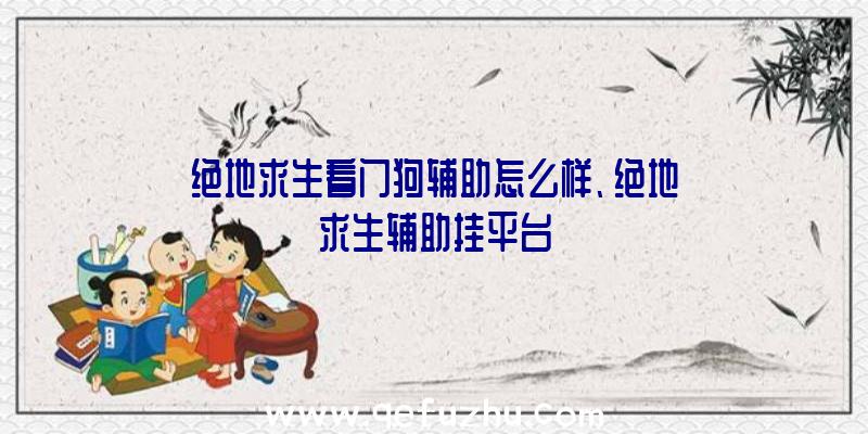 绝地求生看门狗辅助怎么样、绝地求生辅助挂平台