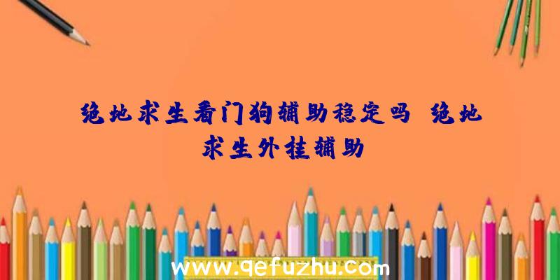 绝地求生看门狗辅助稳定吗、绝地求生外挂辅助