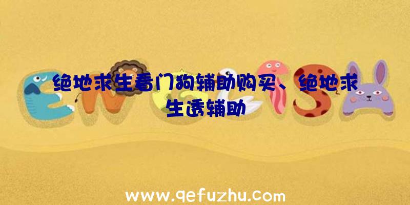 绝地求生看门狗辅助购买、绝地求生透辅助