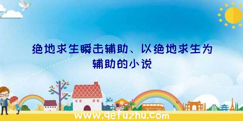 绝地求生瞬击辅助、以绝地求生为辅助的小说