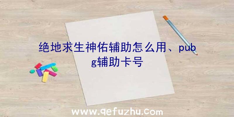 绝地求生神佑辅助怎么用、pubg辅助卡号