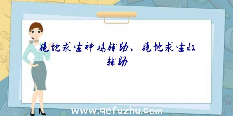 绝地求生神鸡辅助、绝地求生da辅助