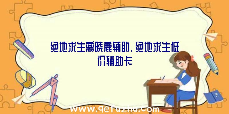 绝地求生离晓鹿辅助、绝地求生低价辅助卡