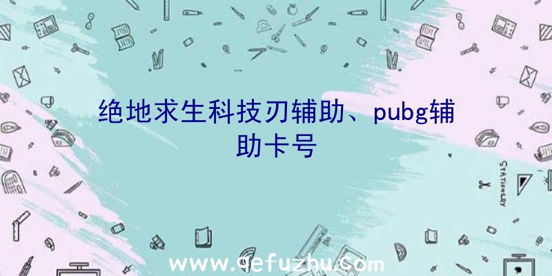 绝地求生科技刃辅助、pubg辅助卡号